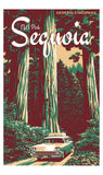 Park-to-Park Postcard Set
