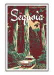 Illustration of vintage car at Sequoia National Park