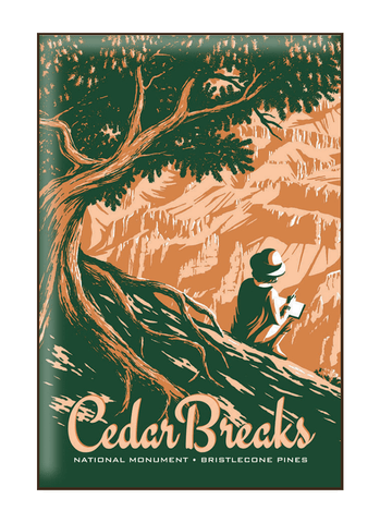 Illustration of tourist at Cedar Breaks National Monument