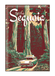 Illustration of vintage car and tall trees at Sequoia National Park